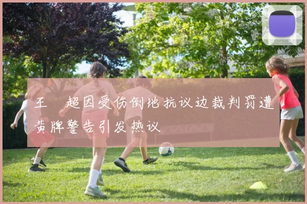 王燊超因受伤倒地抗议边裁判罚遭黄牌警告引发热议