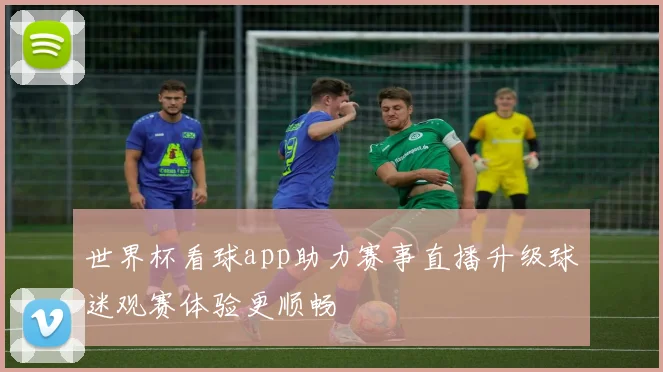 世界杯看球app助力赛事直播升级球迷观赛体验更顺畅