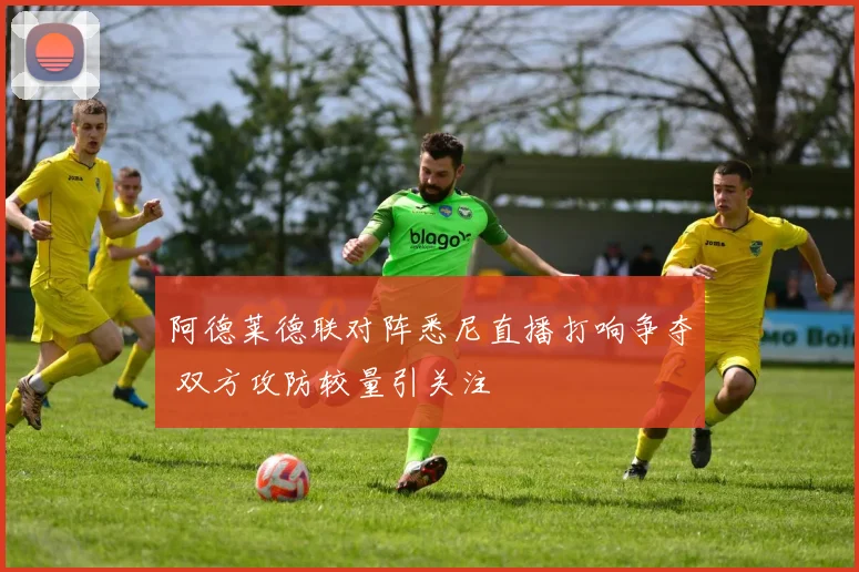 阿德莱德联对阵悉尼直播打响争夺 双方攻防较量引关注